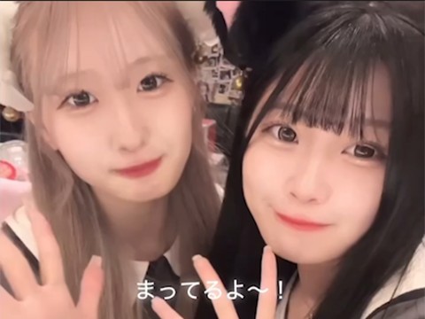 の動画
