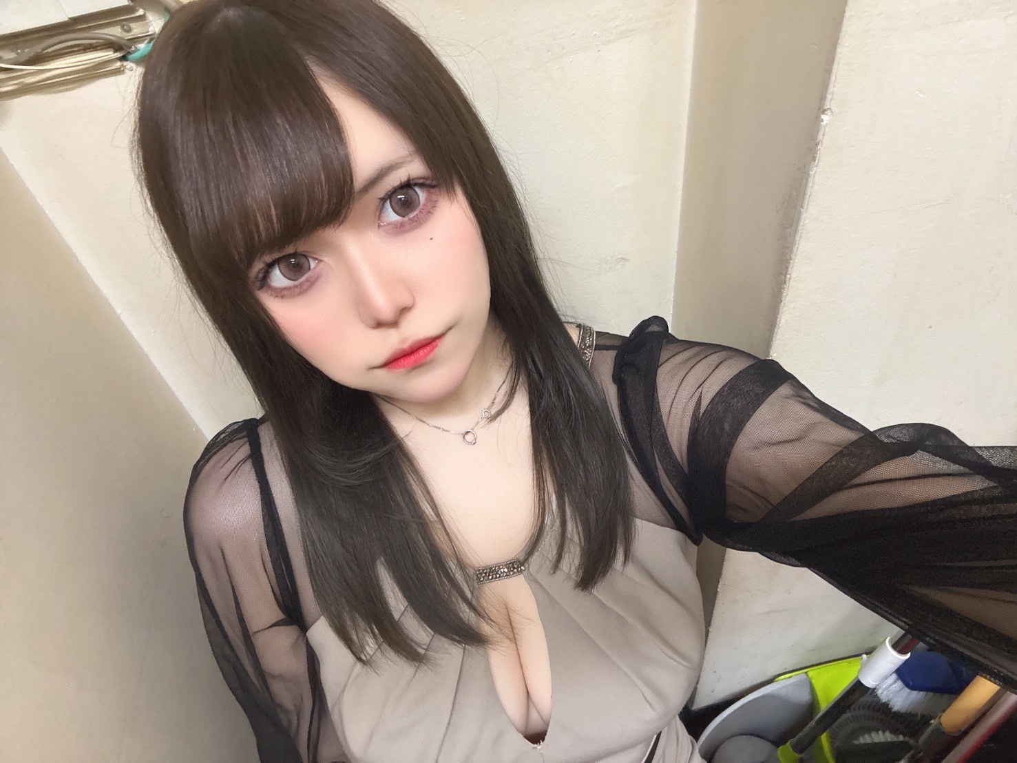 ランキング9位あさり