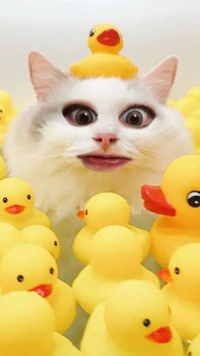 かなうプロフィール写真4