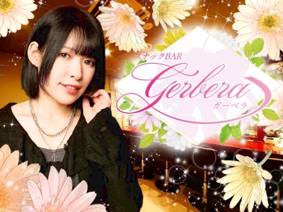 Gerbera