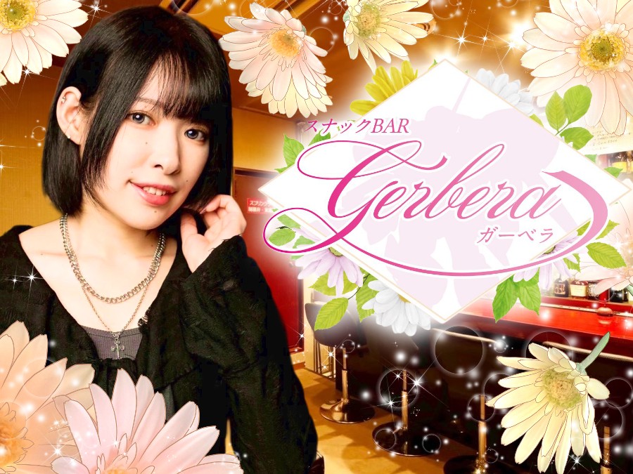 Gerbera