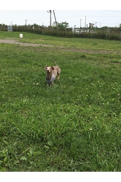 ゆうきプロフィール写真3