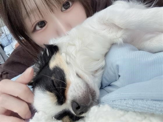 こむぎプロフィール写真6